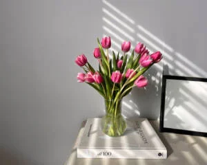 5-300x240