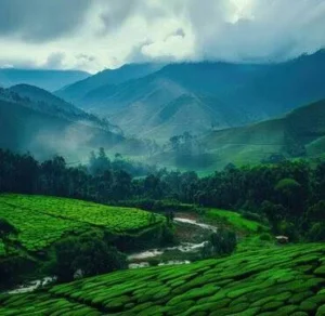 luxury_rehab_india-370x360